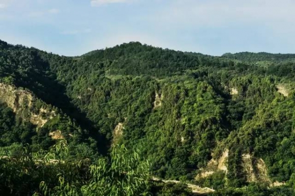 貴州其亞鋁業(yè)有限公司赤泥堆場(chǎng)2庫二期工程環(huán)境監理
